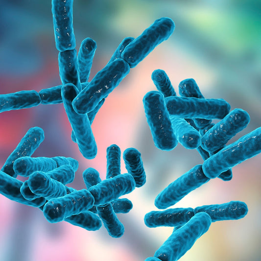 What Are Synbiotics and Are They Better Than Probiotics?