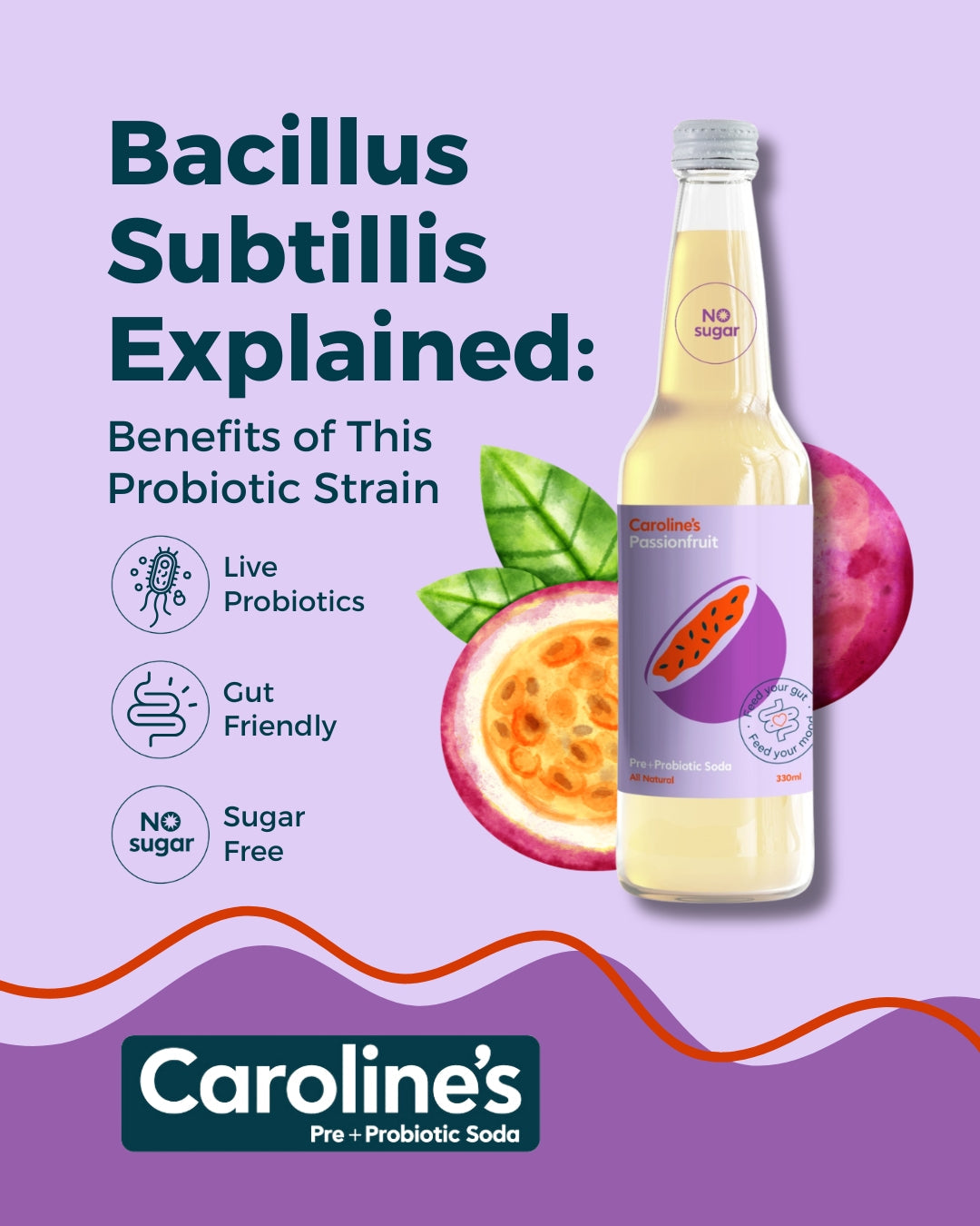 Bacillus Subtilis Explained: Benefits of This Probiotic Strain