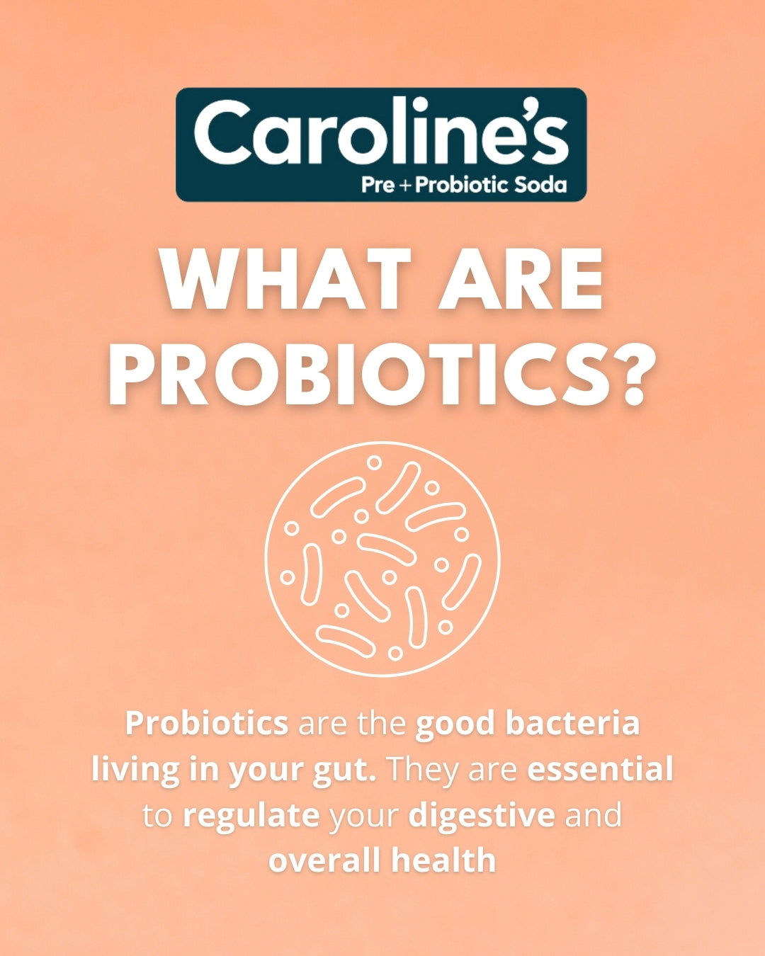 Probiotic Drink Benefits: Why More Australians Are Drinking for Their Gut