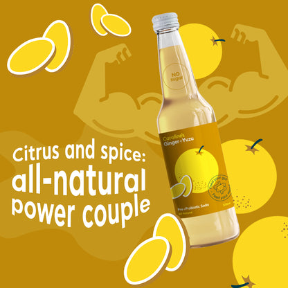 Caroline's Pre + Probiotic Soda - Yuzu Bundle